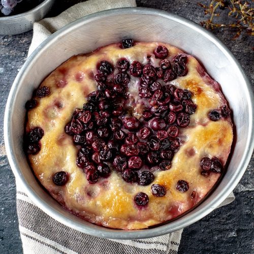 stiacciata con l'uva copertina